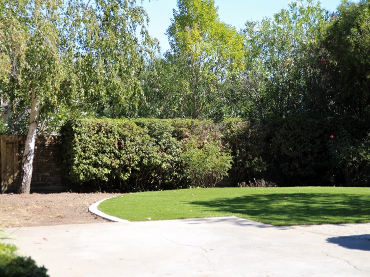 Artificial Turf Foothill Ranch, California Landscape Rock, Beautiful Backyards