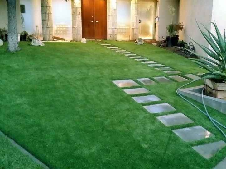 Artificial Turf Fountain Valley, California Garden Ideas, Front Yard Landscape Ideas