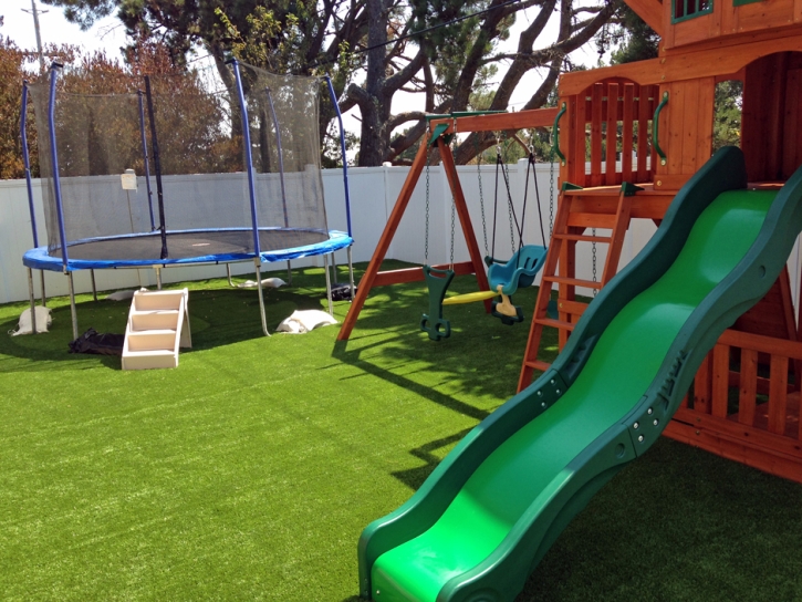 Artificial Turf Huntington Beach, California Rooftop, Backyard Landscape Ideas