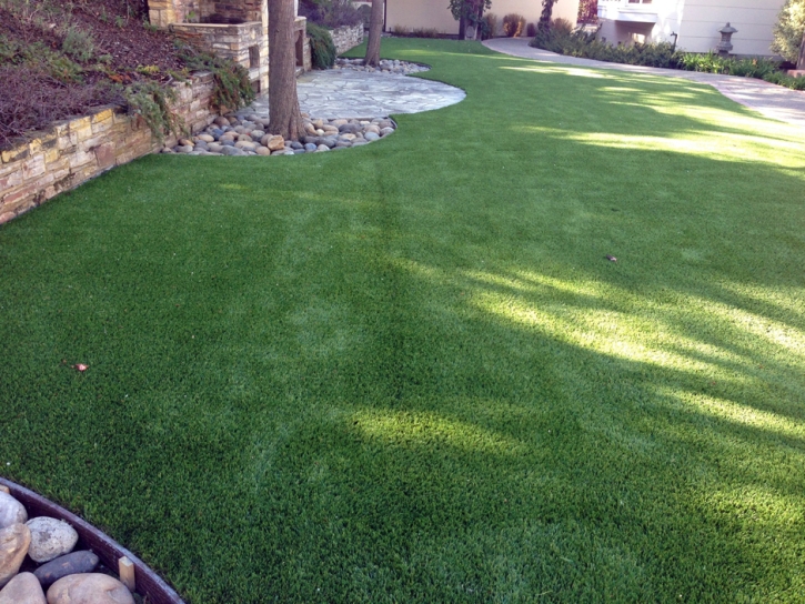 Artificial Turf Installation Las Flores, California Hotel For Dogs, Backyard Makeover