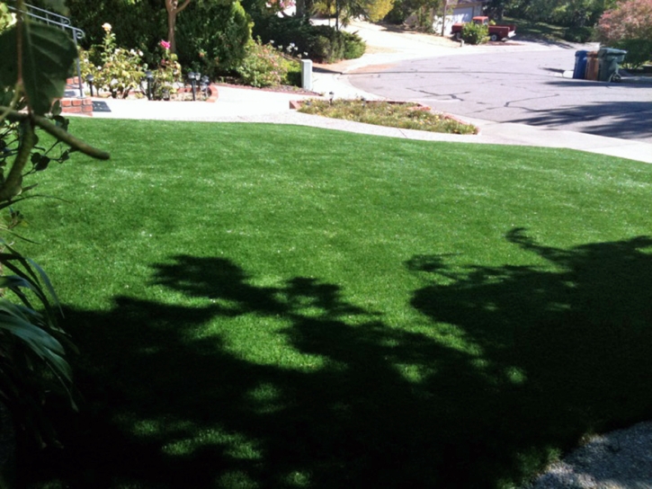 Artificial Turf Installation Newport Beach, California Landscape Photos, Front Yard Landscape Ideas