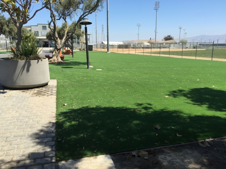 Artificial Turf Orange, California Paver Patio, Commercial Landscape