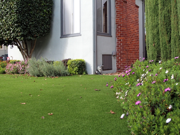 Artificial Turf Placentia, California Roof Top, Front Yard Landscaping Ideas