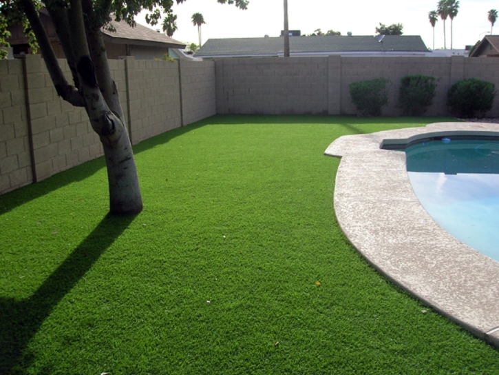 Artificial Turf Rossmoor, California Home And Garden, Swimming Pool Designs