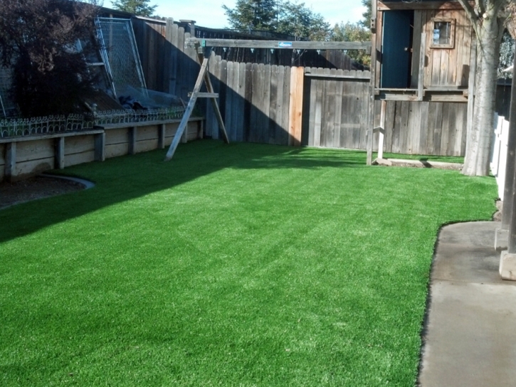 Artificial Turf San Clemente, California Lawn And Landscape, Backyard Landscape Ideas