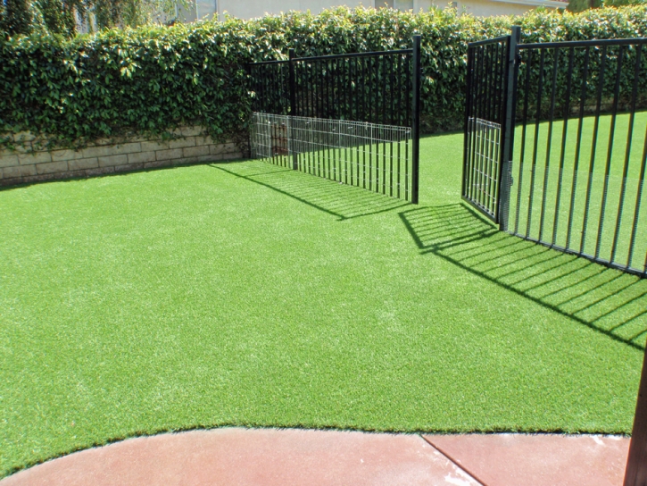 Best Artificial Grass Costa Mesa, California Dog Grass, Front Yard Ideas