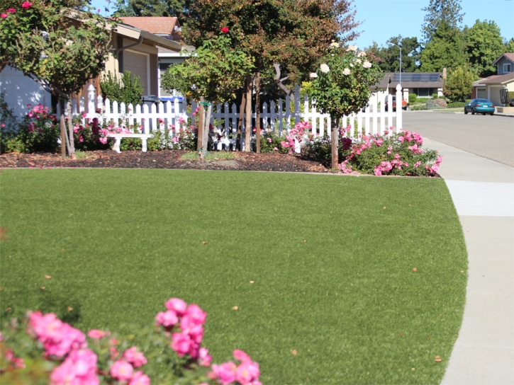 Best Artificial Grass Garden Grove, California Backyard Deck Ideas, Front Yard Landscaping Ideas