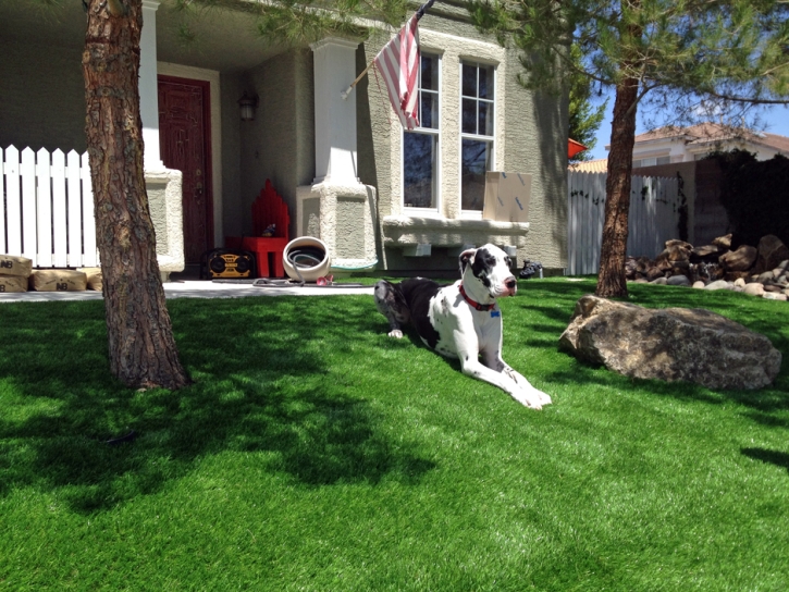 Best Artificial Grass Ladera Ranch, California Drainage, Small Front Yard Landscaping