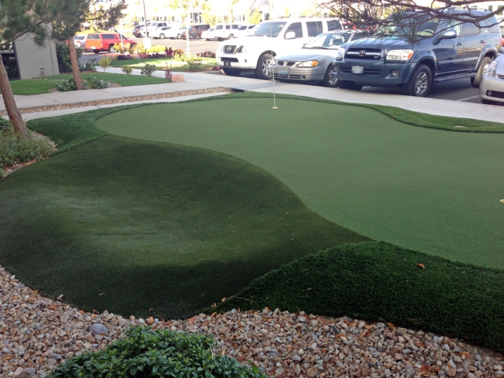 Best Artificial Grass Laguna Hills, California Home And Garden, Commercial Landscape