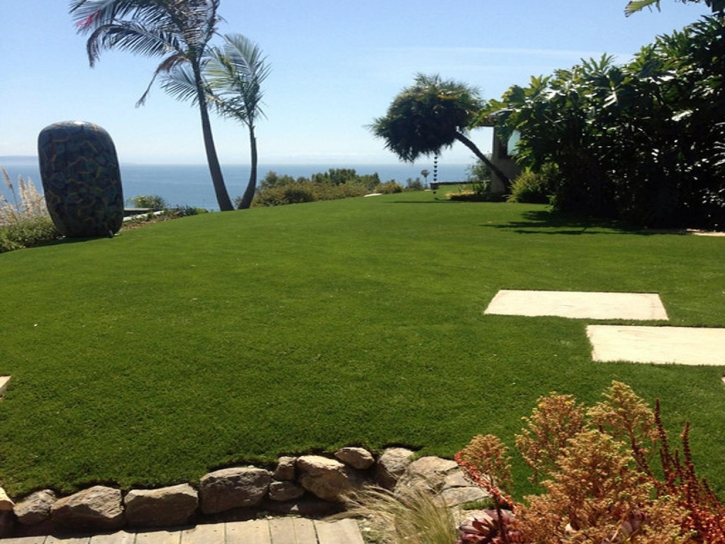 Best Artificial Grass San Juan Capistrano, California Landscape Rock, Commercial Landscape
