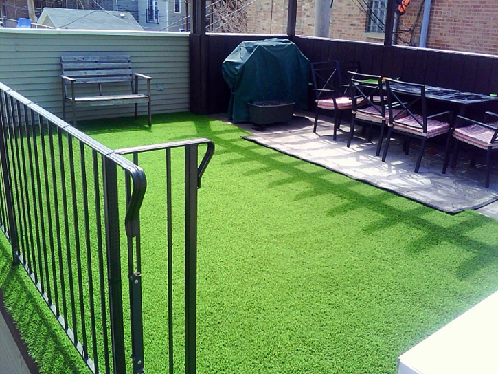 Best Artificial Grass Seal Beach, California Dog Run, Backyard Landscaping Ideas