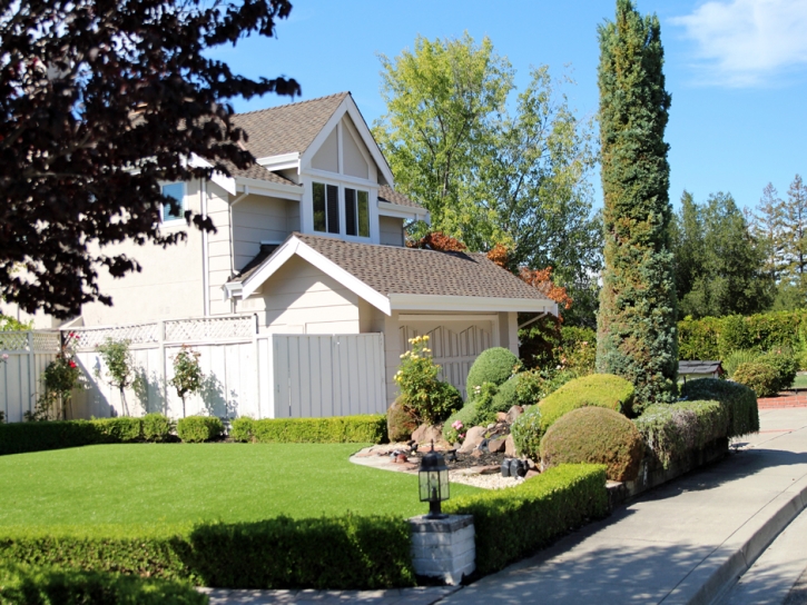 Best Artificial Grass Sunset Beach, California Lawn And Landscape, Front Yard Design