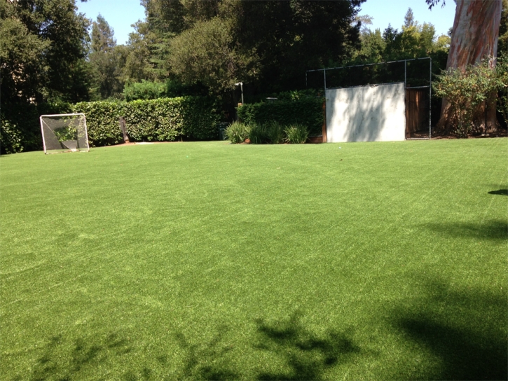 Best Artificial Grass Trabuco Canyon, California Eco Friendly Products, Backyard Makeover