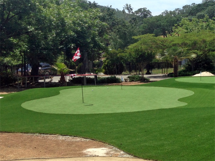 Fake Grass Buena Park, California Backyard Deck Ideas, Small Front Yard Landscaping