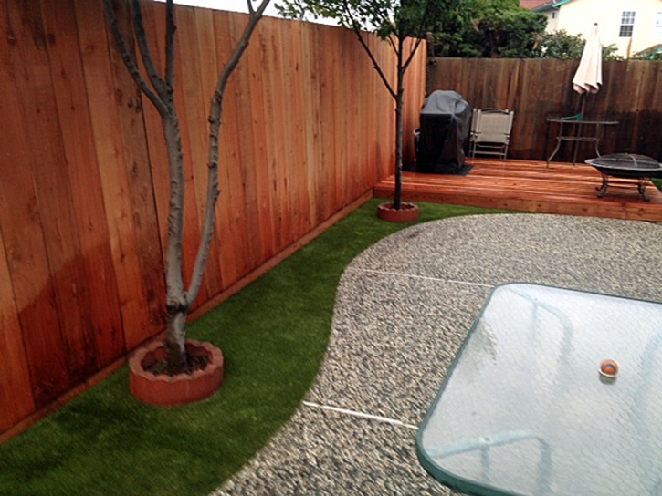 Fake Grass Carpet Aliso Viejo, California Dogs, Beautiful Backyards