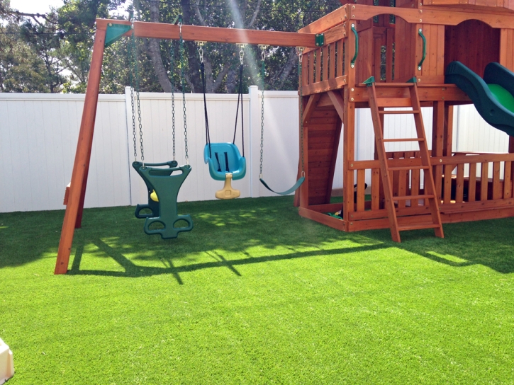 Fake Grass Carpet Cypress, California Playground, Backyard Landscaping Ideas