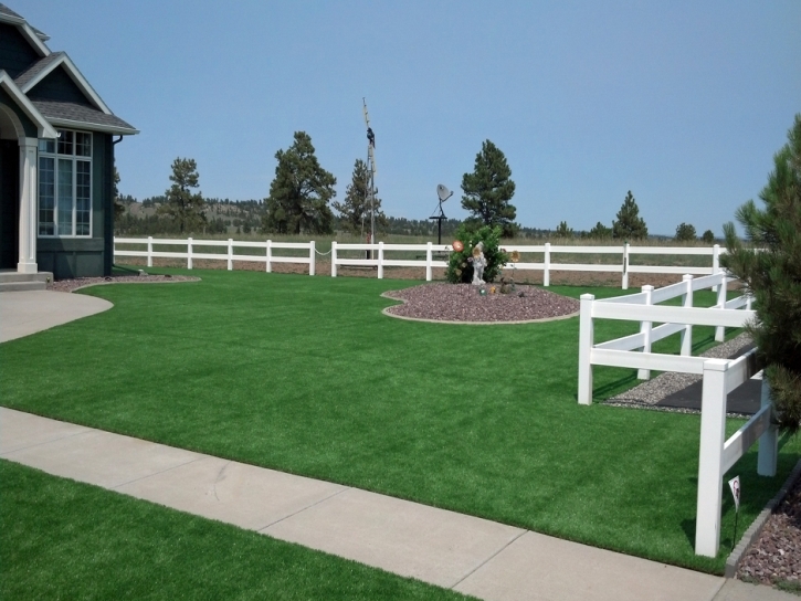 Fake Grass Carpet Dana Point, California Lawn And Garden, Backyard Design
