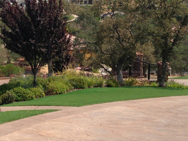 Fake Grass Carpet Huntington Beach, California City Landscape, Backyard Landscape Ideas