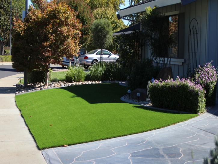 Fake Grass Carpet Ladera Ranch, California Landscape Ideas, Front Yard