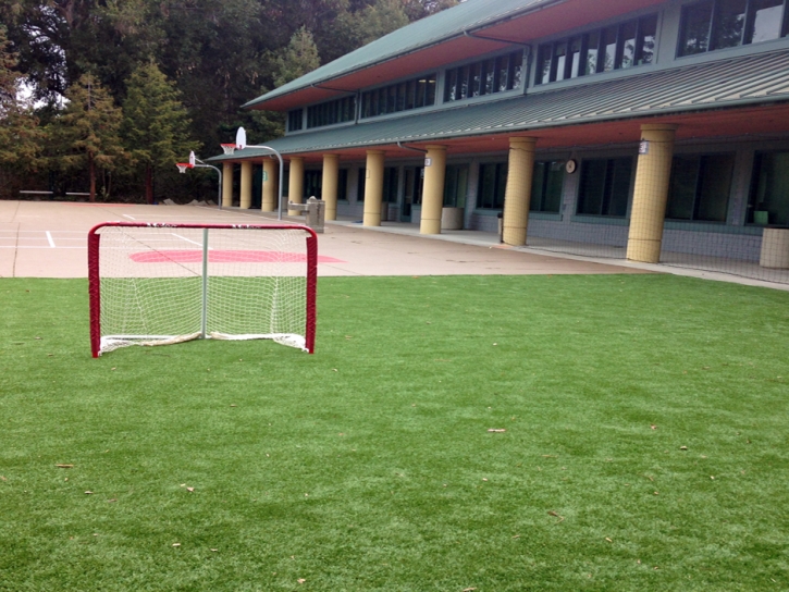 Fake Grass Carpet Portola Hills, California Sports Athority, Commercial Landscape