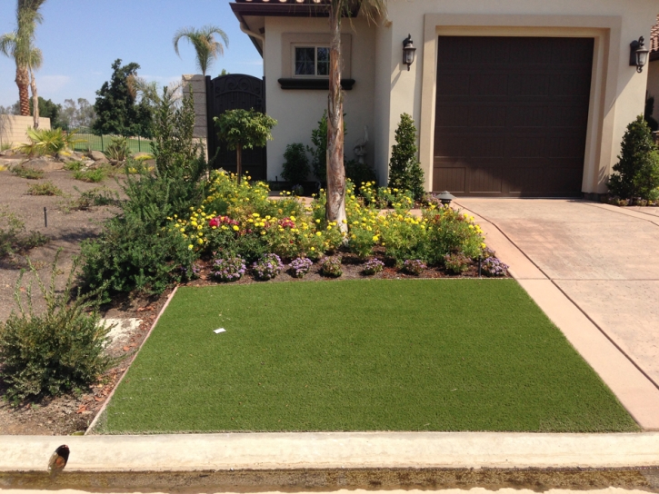 Fake Grass Carpet Rancho Santa Margarita, California Garden Ideas, Front Yard