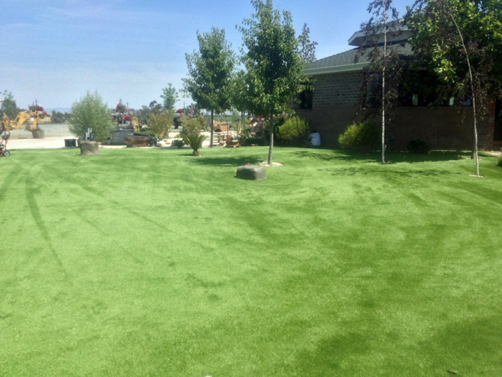 Fake Grass Carpet San Clemente, California Landscaping Business, Recreational Areas