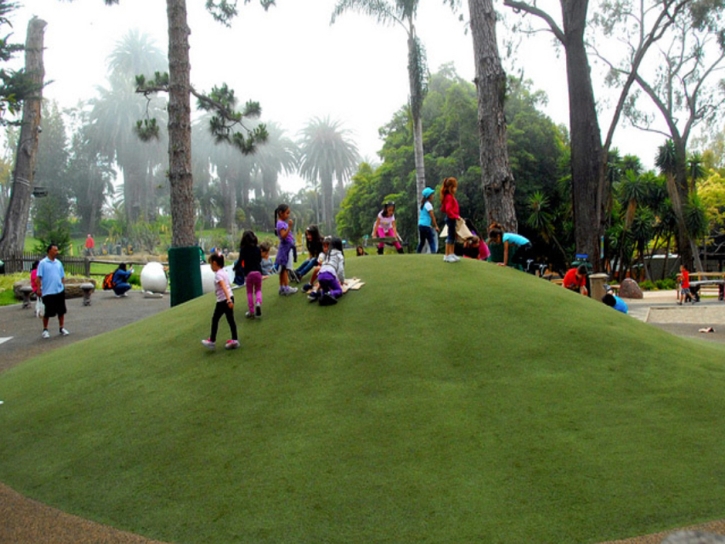 Fake Grass Carpet San Joaquin Hills, California Landscape Photos, Recreational Areas