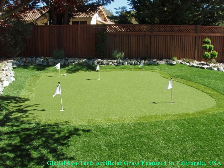 Fake Grass Fountain Valley, California Backyard Putting Green, Backyard Garden Ideas