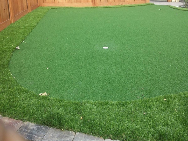 Fake Grass Huntington Beach, California Home Putting Green