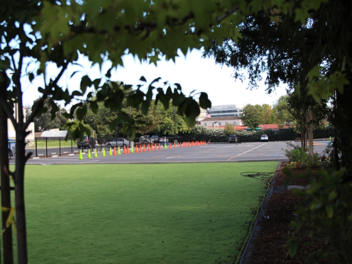 Fake Grass La Palma, California Athletic Playground, Commercial Landscape