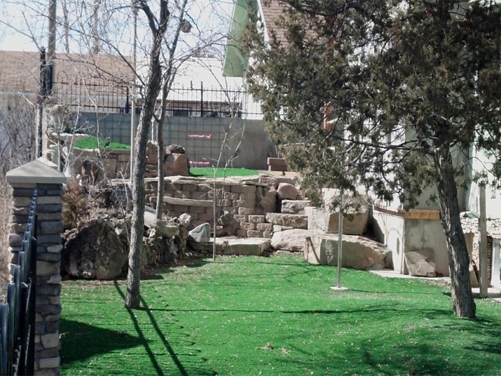 Fake Grass Seal Beach, California Landscape Rock, Backyard Landscape Ideas