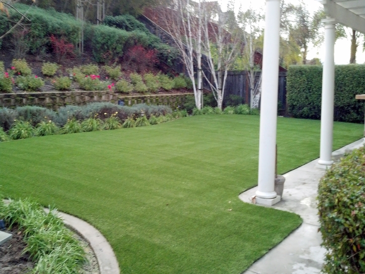 Fake Lawn Costa Mesa, California Hotel For Dogs, Backyard Designs