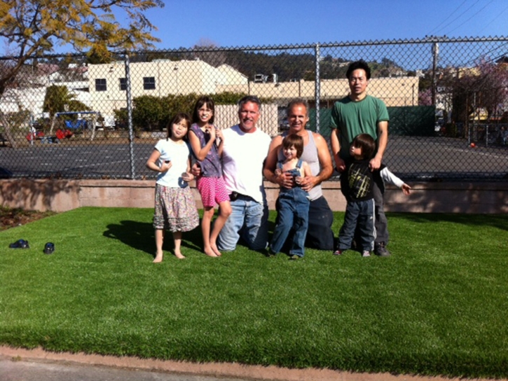 Fake Lawn Coto De Caza, California Landscape Design, Commercial Landscape