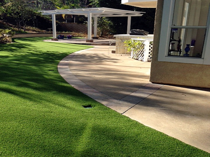 Fake Lawn Lake Forest, California Artificial Turf For Dogs, Front Yard Landscape Ideas