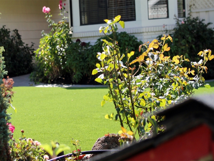 Fake Lawn Las Flores, California Landscape Ideas, Landscaping Ideas For Front Yard