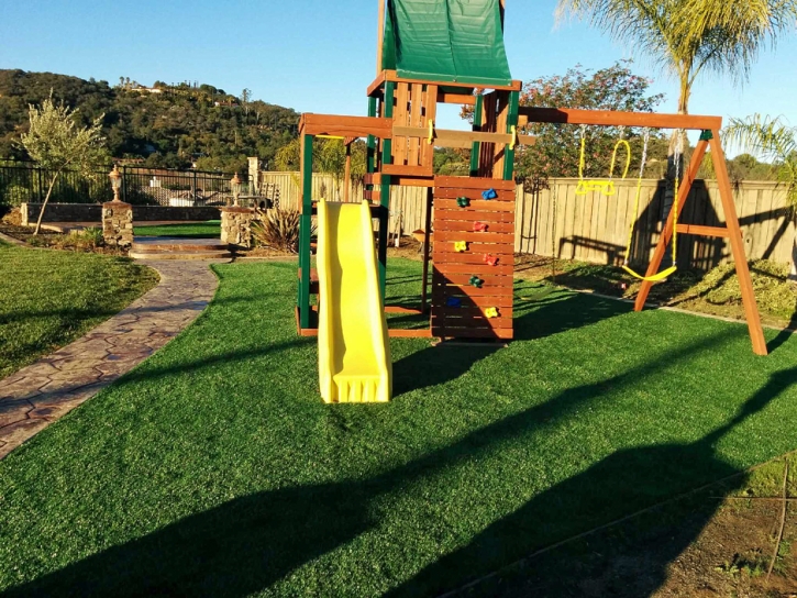 Fake Lawn Seal Beach, California Playground Turf, Backyard Landscaping