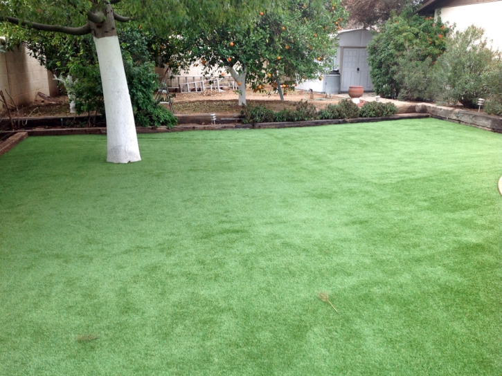 Fake Lawn Trabuco Canyon, California Landscape Photos, Backyard Garden Ideas