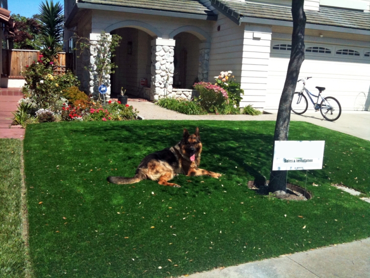 Fake Lawn Tustin, California Home And Garden, Grass for Dogs