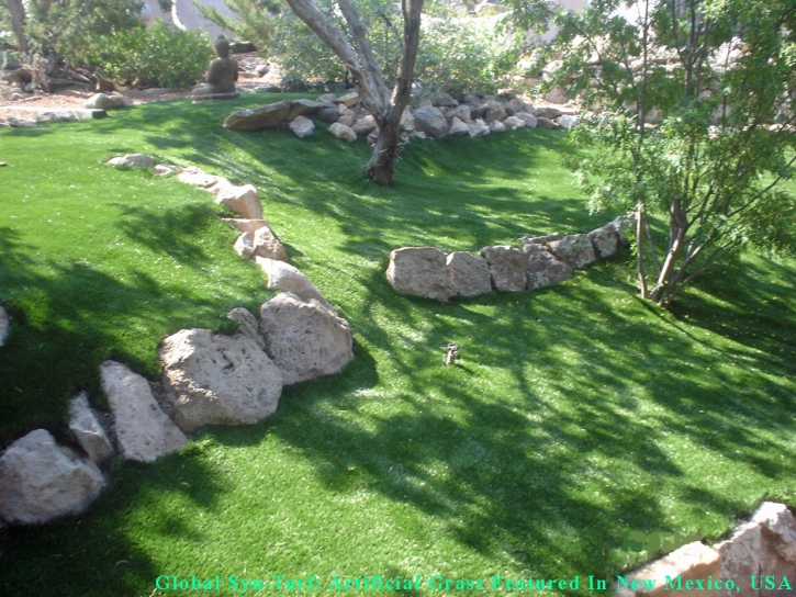 Fake Turf Fullerton, California Landscape Design, Pavers