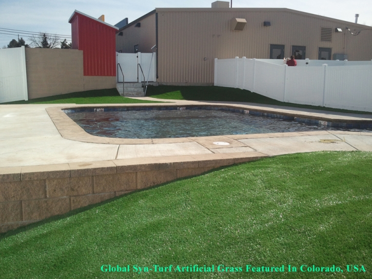 Fake Turf La Palma, California Lawn And Garden, Natural Swimming Pools