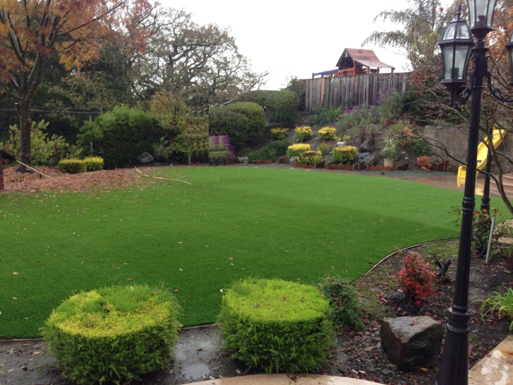 Fake Turf Laguna Beach, California Home And Garden, Backyard Landscaping Ideas