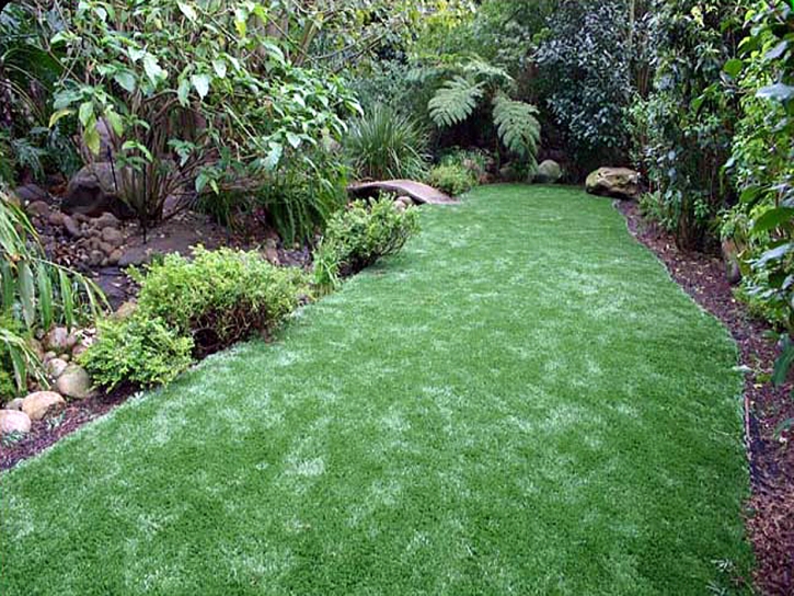 Fake Turf Laguna Woods, California Landscape Photos, Backyards