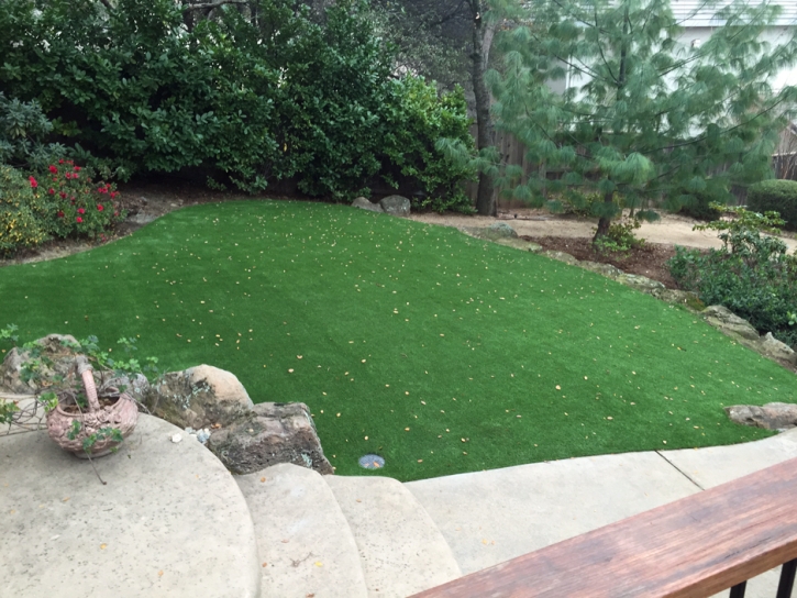 Fake Turf Laguna Woods, California Lawn And Garden, Backyard Designs