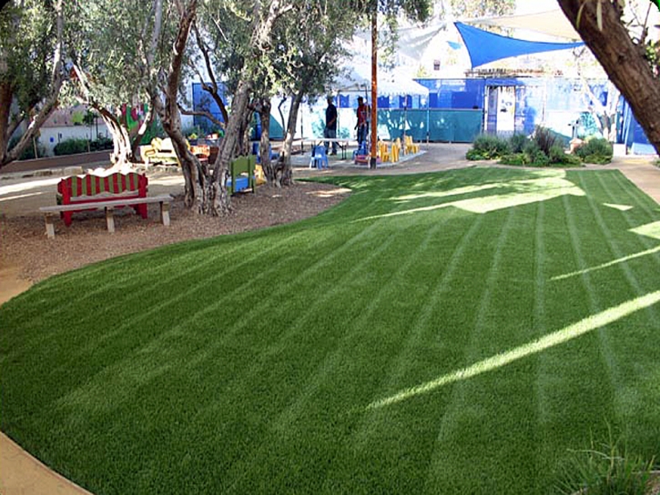 Fake Turf Portola Hills, California Lawns, Commercial Landscape
