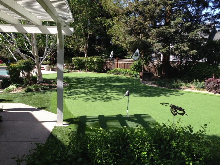 Fake Turf San Joaquin Hills, California Backyard Playground