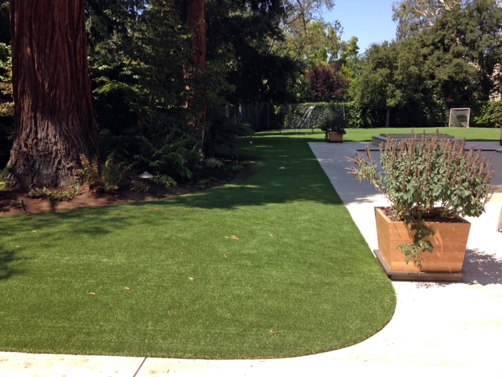 Fake Turf Stanton, California Backyard Deck Ideas, Front Yard Landscape Ideas