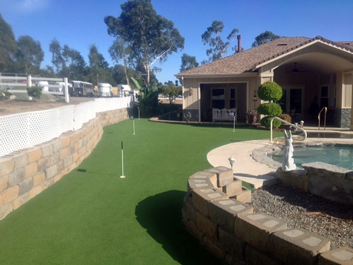 Fake Turf Villa Park, California Artificial Putting Greens, Backyard Landscaping