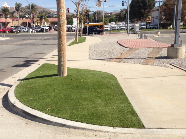 Faux Grass Dana Point, California Gardeners, Commercial Landscape