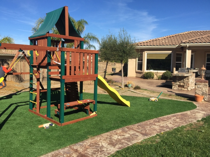 Faux Grass Lake Forest, California Lawn And Garden, Backyard Garden Ideas