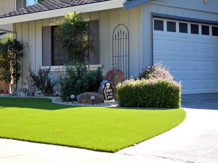 Faux Grass Mission Viejo, California City Landscape, Front Yard Landscaping